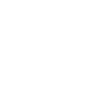 Vatsim Partner